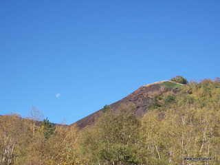 nti Sartorius-04-11-2012 09-34-34